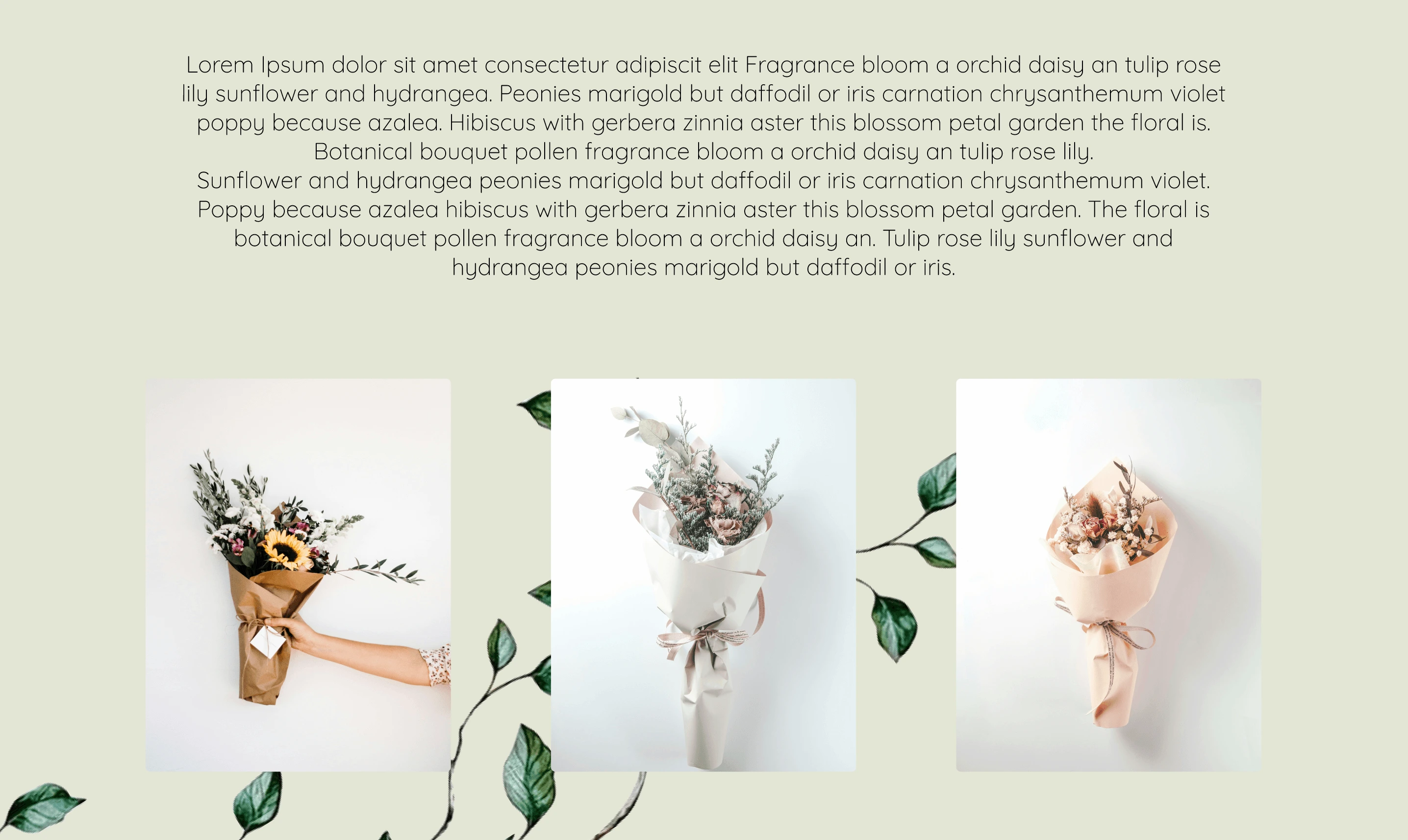 Plant nursery homepage concept — about